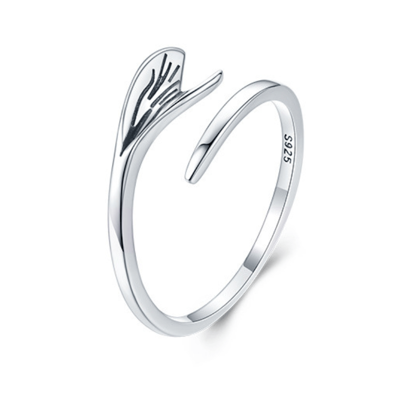 Сребърен пръстен - Доброжелателност — снимка